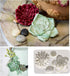 2PCS Succulent Fondant Mold Fern Leaf Fondant Mold Silicone Polymer Clay Molds Cake Decoration Molds Gumpaste 3D Silicone Molds for Cupcakes, Choc...
