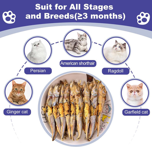 Freeze Dried Fish Dog Treats - Whole Capelin Fish Seeds Cats Treats Natural Single Ingredient Delicious Snacks Training Healthy Chews Food Pet Foo...