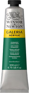 Winsor & Newton Galeria Acrylics - Permanent Green Deep - 200ml Tube...