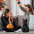 13 Inch Black Cat Stuffed Animal Realistic Black Cat Plush Toy Soft Kitten Stuffed Animal Black Cat Plushie for Home Decor Animal Collection PET P...