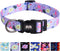 QQPETS Adjustable Soft Dog Collar: Print Flower Pink Multicolor Cute Patterns for XS Small Medium Large Pet Girl Boy Puppy Walking Running Trainin...