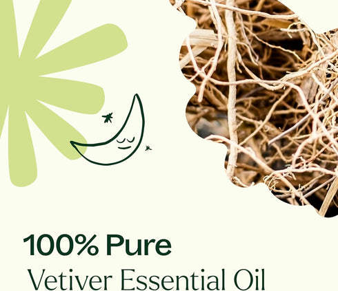 Plant Therapy Vetiver Essential Oil 100% Pure, Undiluted, Natural Aromatherapy, Therapeutic Grade 10 mL (1/3 oz)...