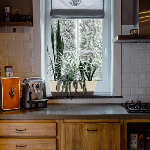 Window Box Planter Window Planter,Rectangle Flower Pot Plant Planter Flower Pots Plant Containers Succulent Cactus Window Box with Saucer,Small Su...