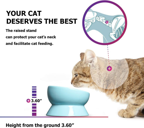 Y YHY Ceramic 15 Ounce Slanted Cat Food Water Bowl, Lake Blue...