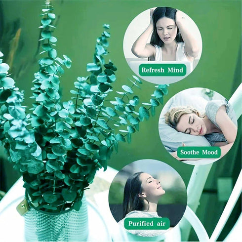 12Pcs Dried Eucalyptus Stems for Shower 17" Natural Preserved Dried Eucalyptus Shower Plant, Fresh Eucalyptus Branches Leaves Greenery Hanging, Fl...