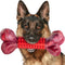 Apasiri Tough Dog Toys for Aggressive Chewers Large Breed, Chew Toys, Bones Made with Nylon and Rubber, Big Indestructible Toy, Medium Puppy Teeth...