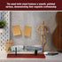 Yookeer 2 Pcs Wood Knife Display Stand Blade Knife Collection Display Stand Holder Wood Fixed Knife Stand for Home Kitchen Rustic Decor Collection...