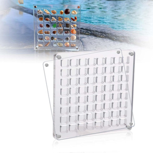 36 Grids Acrylic Magnetic SeaShell Display Box, Transparent Seashell Storage Box, Square Jewelry Display Cases Craft Storage Box for Seashell, Gem...