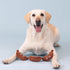Fringe Studio Plush Dog Toy, Making Ends Meat, Pet Shop Collection (289724)...