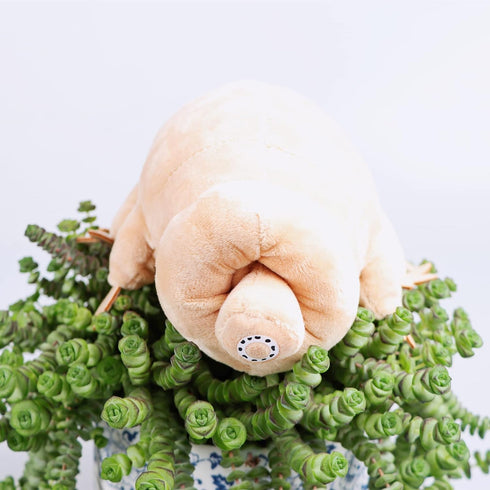 Tardigrade Plush Waterbear Stuffed Animal Water Bear Sea Creature Plush Toy, 9"...