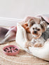 Ceramic Slow Feeder Dog Bowls Small Breed, 0.5 Cups Dog Food Dish for Fast Eaters, Puzzle Bowl for Small Dogs and Cats, 5.5 Inch-Pink...