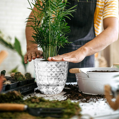 Self Watering Pots for Indoor Plants, Plant Pots Indoor 4/6 Inch, Small Plant Pots, Flowers Pots for Indoor Plants, Self Watering Planter for All ...