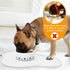 Ptlom Pet Placemat for Dogs and Cats, Non-Slip Waterproof Dog Feeding Mats Prevent Food and Water Overflow, Puppy Bowl Mat Suitable for Small, Med...