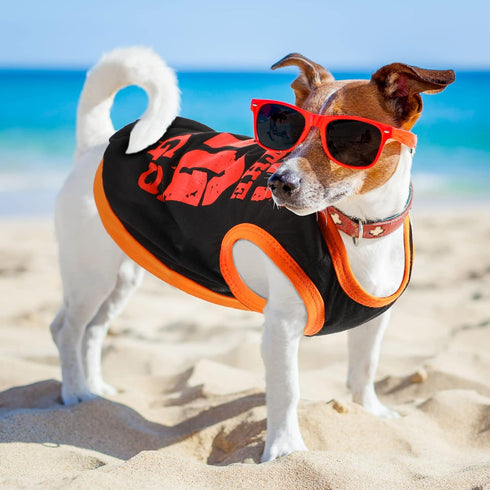 8 Pieces Dog Shirts Pet Printed Clothes with Funny Letters Summer Pet T Shirts Cool Puppy Shirts Breathable Dog Outfit Soft Dog Sweatshirt for Pet...