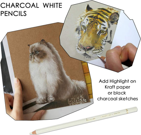 Professional White Charcoal Pencils Set - Brusarth 3 Pieces Sketch Highlight White Pencils for Drawing, Sketching, Shading, Blending, White Chalk ...