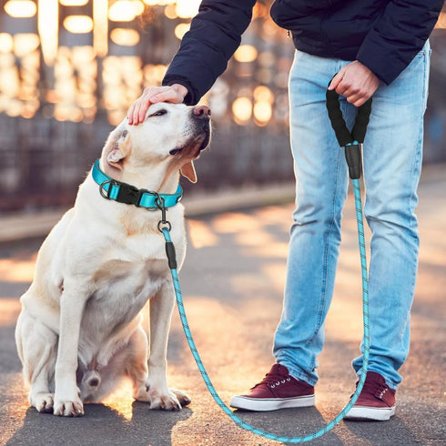 Dog Collar and Leash Set, Reflective Dog Collar Heavy Duty Dog Leash, Adjustable Soft Neoprene Padded Nylon Pet Collars, Comfortable Padded Handle...