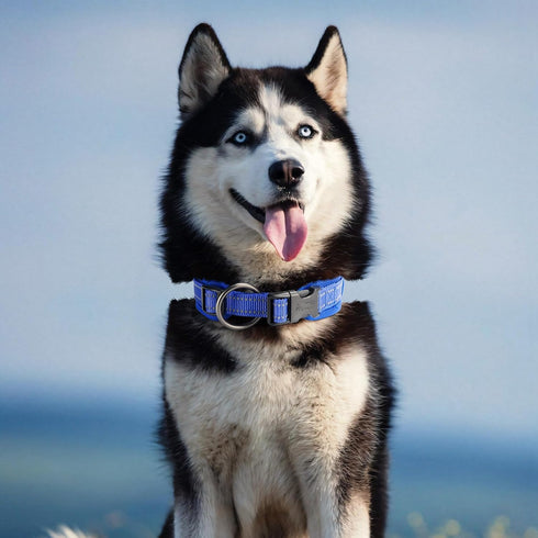 EXCELLENT ELITE SPANKER Classic Dog Collar PU Material Pet Collar with Buckle Adjustable for Small Medium Large Dogs Walking Training Black Red Bl...
