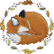 Cross Stitch Kits, Awesocrafts Hibernate-Fox Easy Patterns Cross Stitching Embroidery Kit Supplies Christmas, Stamped or Counted (Fox, Counted)...