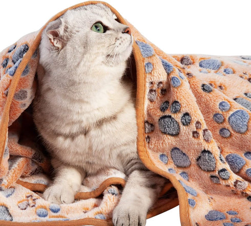 Pet Soft Blankets for Dogs - Fluffy Cats Dogs Blankets for Small Medium & Large Dogs, Cute Print Pet Throw Puppy Blankets Fleece?XL,50 * 40"...