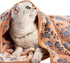 Pet Soft Blankets for Dogs - Fluffy Cats Dogs Blankets for Small Medium & Large Dogs, Cute Print Pet Throw Puppy Blankets Fleece?XL,50 * 40"...