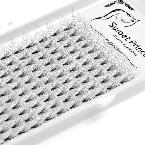 12rows,120pcs 10D Premade Volume Fans Eye Lashes Extensions Thickness 0.07mm D Curl Black Soft Individual False Eyelashes Makeup Fake Lashes Clust...