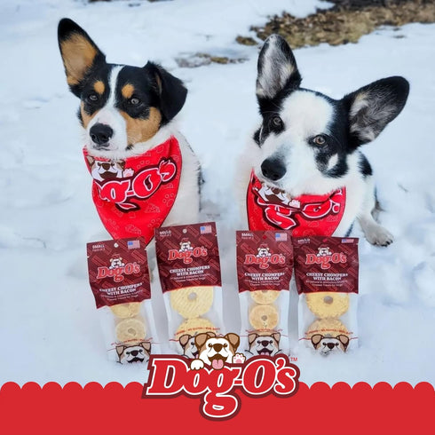 DOG-O'S CHEESY CHOMPERS, Bacon, All-Natural, Made in The USA, Grain Free, Gluten Free, Real Cheese Treats for Medium & Large Dogs (Pack of 2 Crunc...