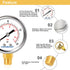 Lead-Free Pressure Gauge 0-160psi 1/4" NPT Lower Mount 2" Dial Stainless Steel Case, Pressure Gauge for Water Air RV...