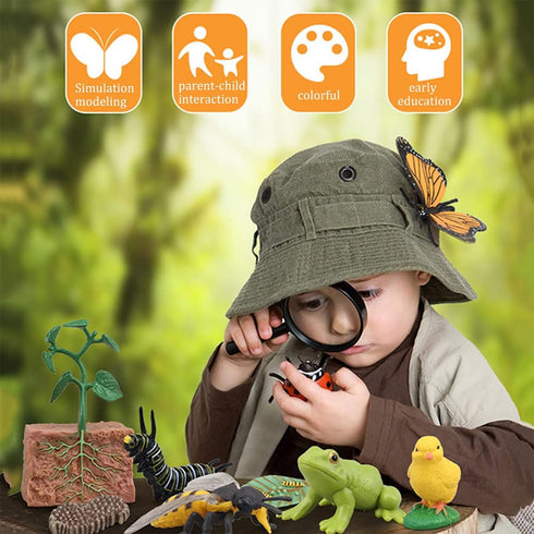 Bee Growth Life Cycle Insect Life Cycle Figurines of Bee, Bee Figurine Model Set with 4 Instruction Cards, Realistic Animal Growth Cycle Model, Ed...