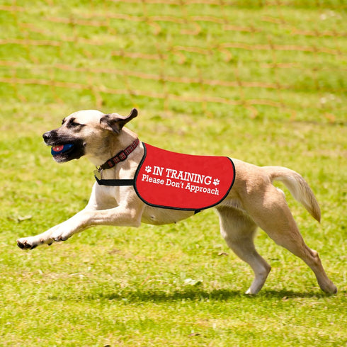 JXGZSO Nervous Do Not Approach Dog Jacket Vest Nervous Rescue Space Dog Vest Dog Walking Slogan Warning Vest (Training approach M)...