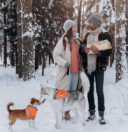 Reflective Dog Bandana Velcro Safety Scarf 2 Pack Orange Dog Reflective Gear...