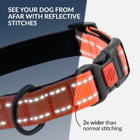 CollarDirect Reflective Dog Collar for a Small, Medium, Large Dog or Puppy with a Quick Release Buckle - Boy and Girl - Nylon Suitable for Swimmin...