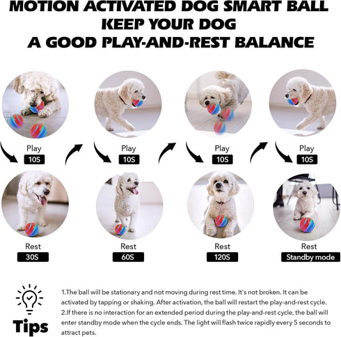 PetPrime Interactive Dog Ball Toy Active Rolling Ball for Dogs with LED Light Automatic Self Moving Bouncing Pet Ball Type-C Rechargeable Motion A...