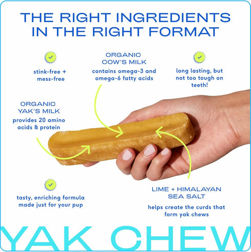 Native Pet Yak Chews (5 Small Chews) - Yak Milk Chews for Puppies & Small Dogs - Yak Dog Chews - Puppy Chews - Puppy Teething Toys - Puppy Yak Che...