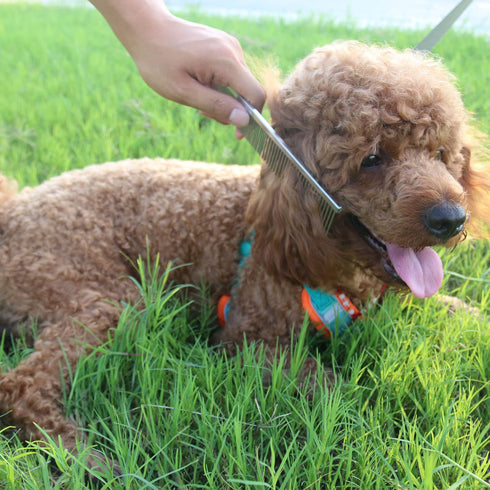 ROPO Dog Comb Tool for Removing Matted Fur - Pet Dematting Comb with Rounded Teeth and Non-Slip Grip Handle - Prevents Knots and Mats for Long and...