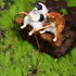 Cat Fishing Figurine Mini Cute Cat Statue Decor Mini Cat Fishing Fish Tank Ornaments Aquarium Miniature Figurines Animal Statues Ornaments for Hom...