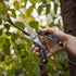 BIBURY Gardening Hand Pruners, 5 in 1 Multitools Folding Scissors 420 Stainless Steel Pruning Shears Bonsai Cutters for Tree Trimmers Secateurs,Ga...