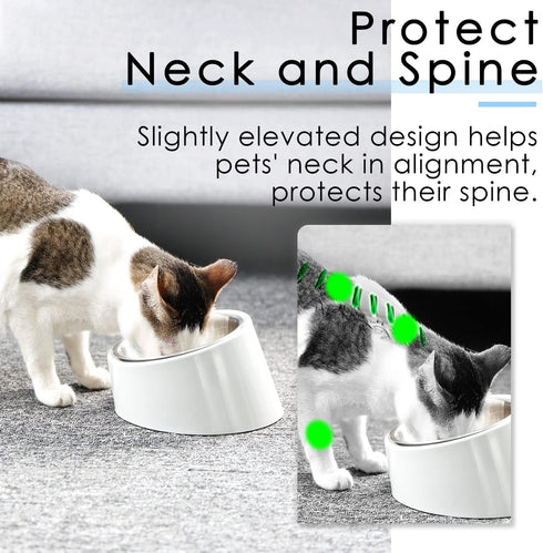 Super Design Mess Free 15° Slanted Bowl for Dogs and Cats, Tilted Angle Bulldog Bowl Dog Feeder, Non-Skid & Non-Spill, Easier to Reach Food S/0.5 ...