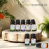 Essential Oils by INSSTTY 100% Pure Oils kit- Top 8 Aromatherapy Oils Gift Set-8 Pack, 10ML(Eucalyptus, Lavender, Lemon Grass, Orange, Peppermint,...