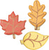 Fall Leaves Cookie Cutters 3-Pc Set Made in USA by Ann Clark, Maple, Oak, Aspen...