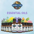 Garden of Life Essential Oil, Lavender 30 ml, USDA Organic & Pure, Clean, Undiluted & Non-GMO - for Diffuser, Aromatherapy, Meditation, Skincare, ...