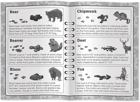 Masterpieces Jr Ranger Poop Tracks Card Game, Ages 6+, 2-6 Players, Medium...