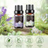 Essential Oils Set - 12 Pcs Aromatherapy Essential Oil Kit for Diffuser, Humidifier, Aromatherapy, Massage, Soap, Candle Making (5mL)...