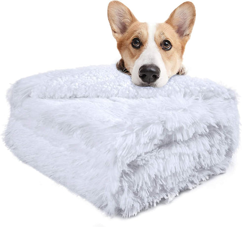 LOCHAS Luxury Fluffy Dog Blanket, Extra Soft and Warm Sherpa Fleece Pet Blankets for Dogs Cats, Plush Furry Faux Fur Puppy Throw Cover, 20''x30'' ...