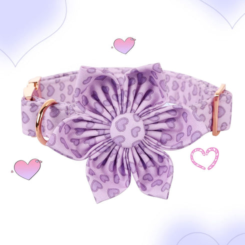 Elegant little tail Valentine's Day Heart Dog Collar, Cute Detachable Dog Collar with Flower, Gift Pet Collar Adjustable Dog Collar for X-Small Pu...