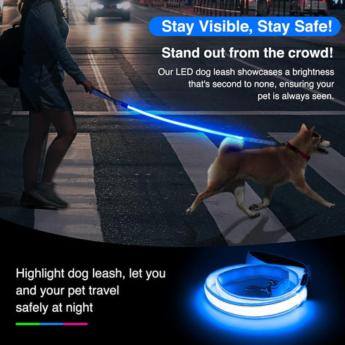 LED Light Up Dog Leash - 4 Ft USB Rechargeable Reflective Nylon Leash with Padded Handle - Flashing Luminous Glow Leashes for Large Medium Pets Ni...