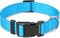 Taglory Reflective Adjustable Dog Collars for Puppy Small Medium Large Dogs, Thin Nylon Webbing and Quick Release Plastic Buckle(Aqua Blue,XSmall)...