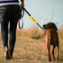 Funny Dog Leash Sleeve No Dogs!I Like People Dog Leash Wrap Alert Hanging Sleeve Pet Birthday Gift (I Like People-YE Sleeve)...