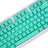PBT Keycaps, 108 Keys P9 Mechanical Keyboard Key Backlit Key Character Translucent Key DIY Keycaps,for 61/64/87/104/108 Key Mechanical Keyboards(C...