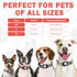 SCENEREAL Airtag Dog Collar for Small Medium Dogs, Dog Collar with Durable Airtag Holder, Compatible Apple Air Tag, Anti-Lost Adjustable Soft Comf...