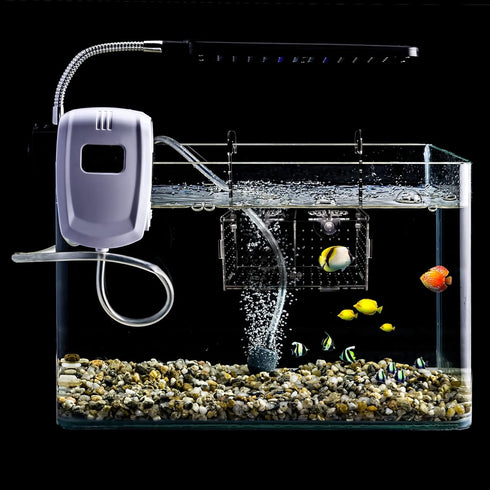 Fish Breeding Box for Aquarium Acrylic Fish Tank Breeder Divider Box with Suction Cups Transparent Hatchery Hanging Incubator for Fishes Shrimp Cl...